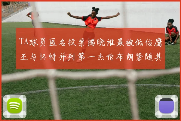 TA球员匿名投票揭晓谁最被低估鹰王与怀特并列第一杰伦布朗紧随其后