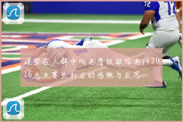 追梦在人群中向老詹致敬绿老师2016总决赛失利后的感慨与反思